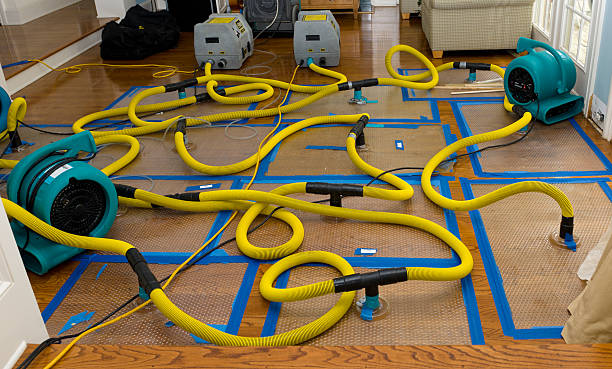 Professional Crawl Space Water Removal technician working in Lakeview, GA